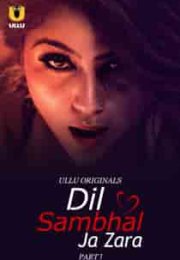 Dil Sambhal Ja Zara 2024 izle